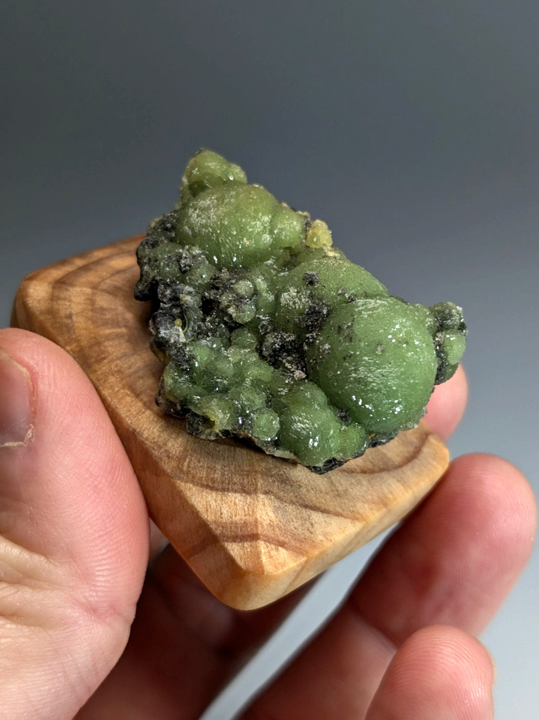 A+++ museum grade vibrant green bubbly wavellite mineral on a handmade light wood display stand from Arkansas