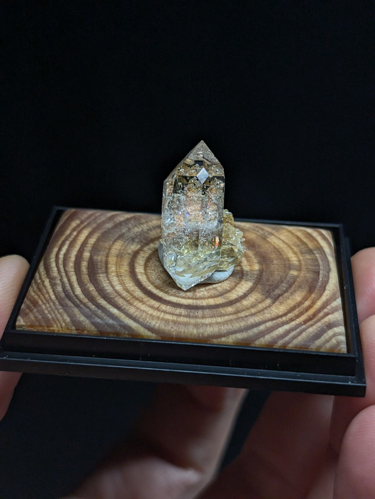 A translucent, pointed quartz crystal with golden inclusions rests on a circular wood slice display.