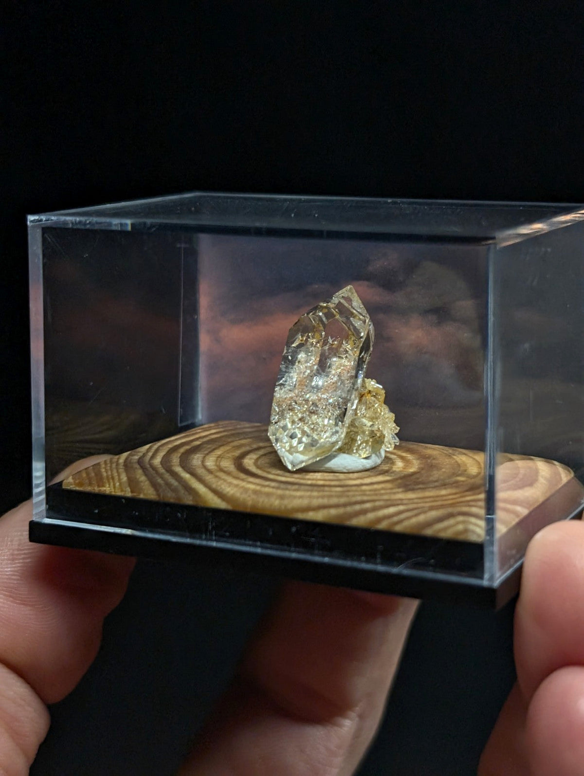 A clear quartz crystal with golden inclusions, displayed on a circular wooden base inside a transparent acrylic display case.
