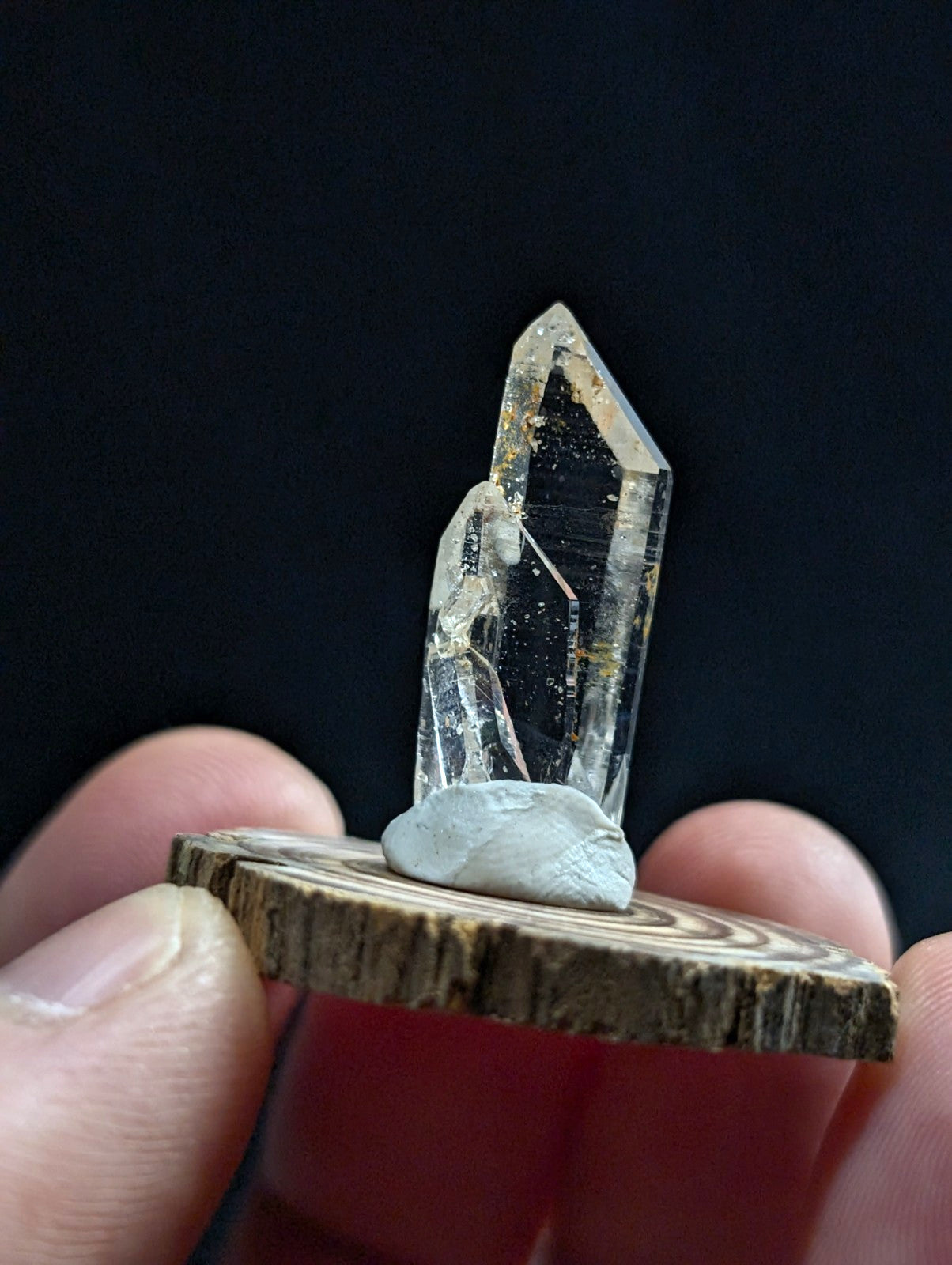 A clear quartz crystal with a pointed tip and natural inclusions, mounted on a small gray base atop a rustic wooden slice.