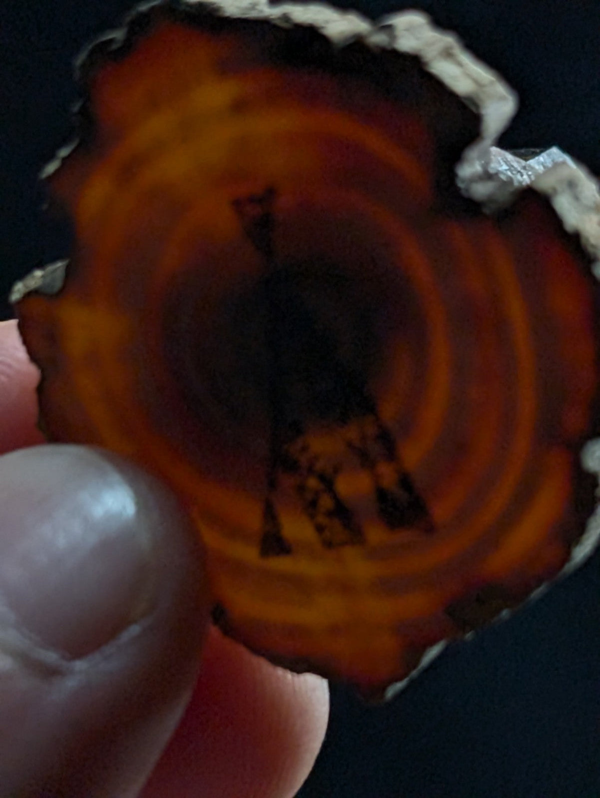 A circular, rustic wooden slice with warm amber and brown concentric rings, featuring a dark silhouette of the eiffel tower engraved at its center.