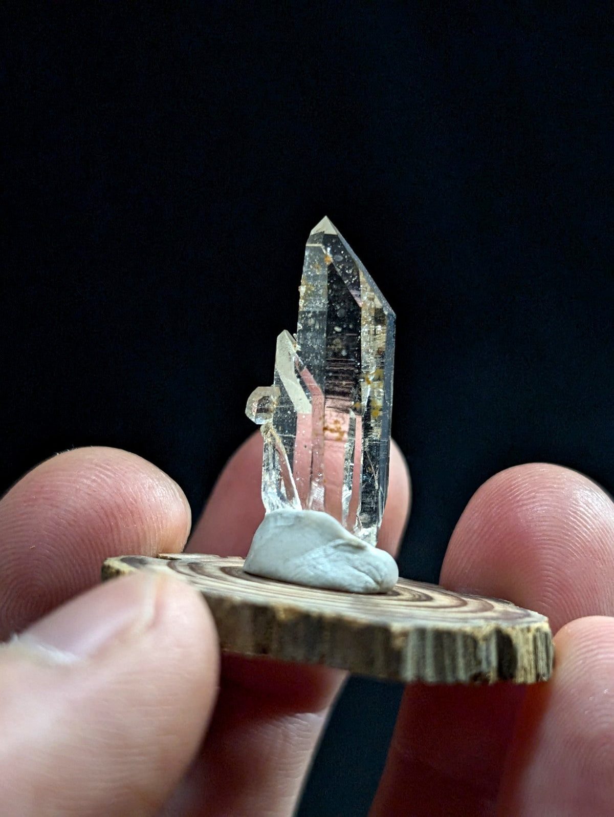 A clear quartz crystal with a pointed tip and natural inclusions, mounted on a small wooden slice base.