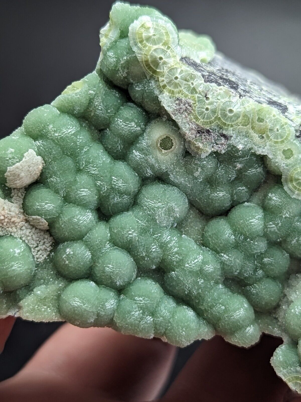 A + Phenomenal Wavellite - Fantastic Old Stock - Mauldin Mountain Arkansas ooak - Collectibles:Rocks Fossils &