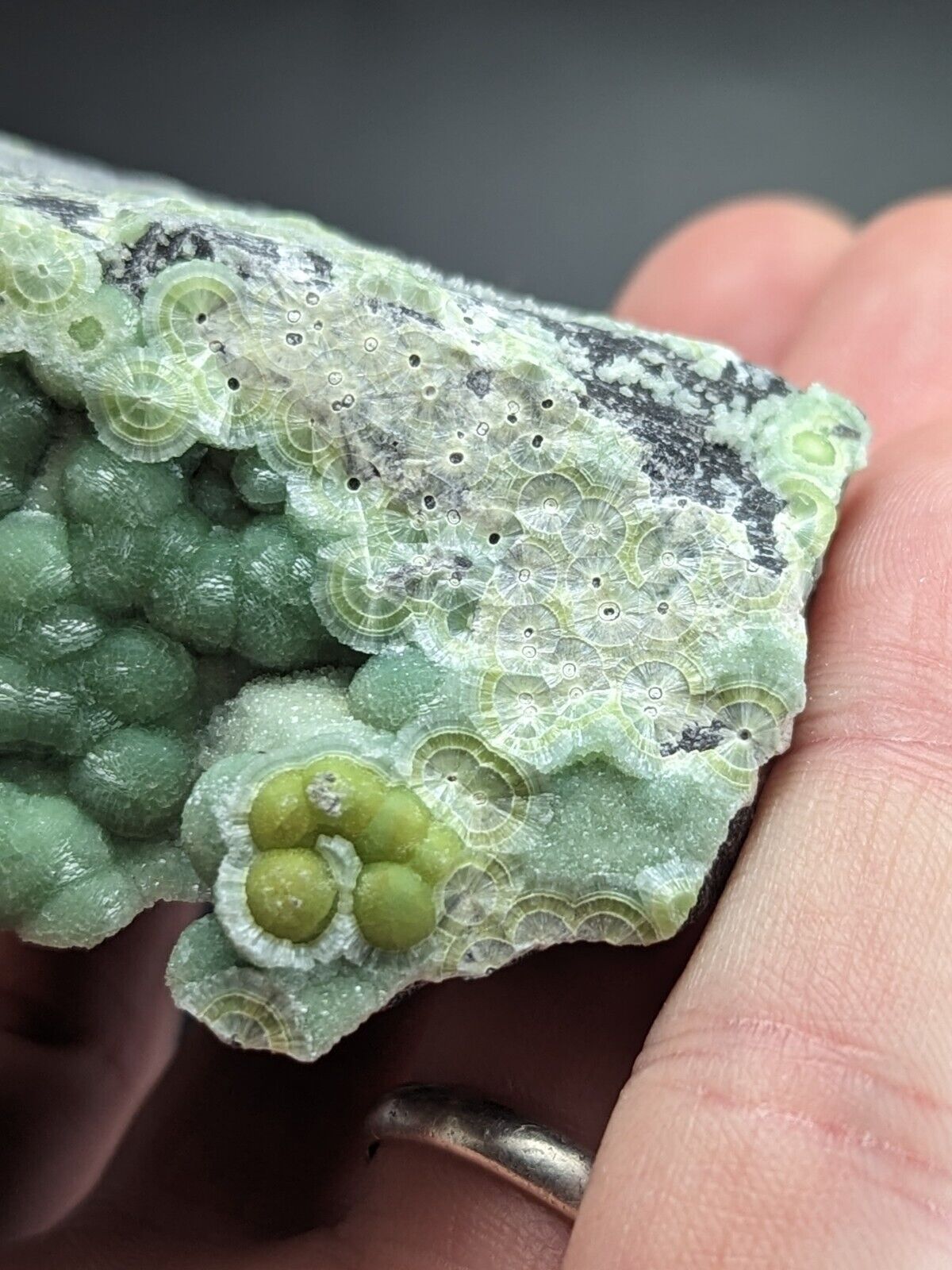 A + Phenomenal Wavellite - Fantastic Old Stock - Mauldin Mountain Arkansas ooak - Collectibles:Rocks Fossils &