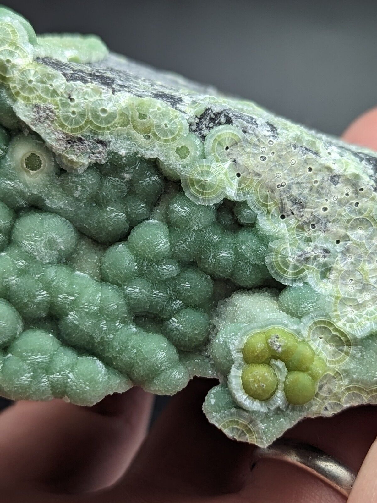 A + Phenomenal Wavellite - Fantastic Old Stock - Mauldin Mountain Arkansas ooak - Collectibles:Rocks Fossils &