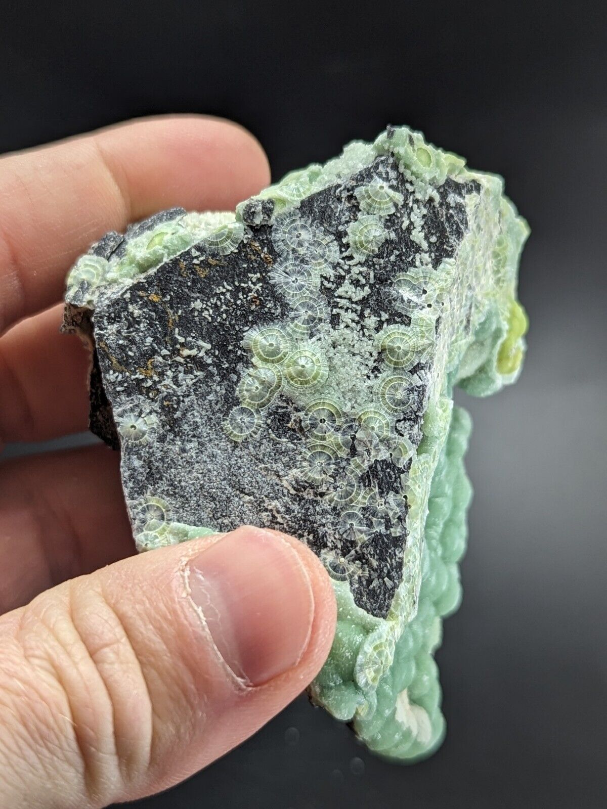 A + Phenomenal Wavellite - Fantastic Old Stock - Mauldin Mountain Arkansas ooak - Collectibles:Rocks Fossils &