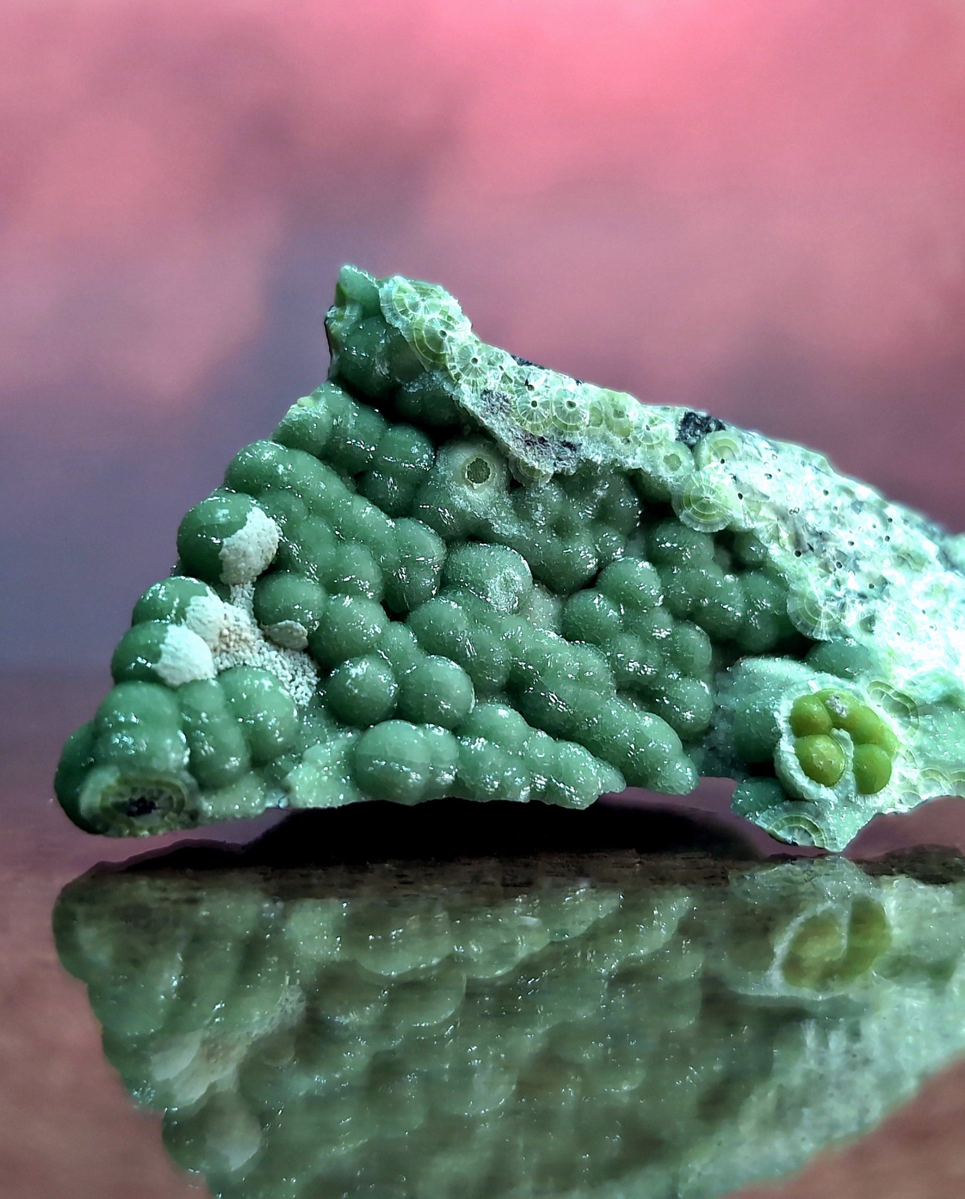 A + Phenomenal Wavellite - Fantastic Old Stock - Mauldin Mountain Arkansas ooak - Collectibles:Rocks Fossils &