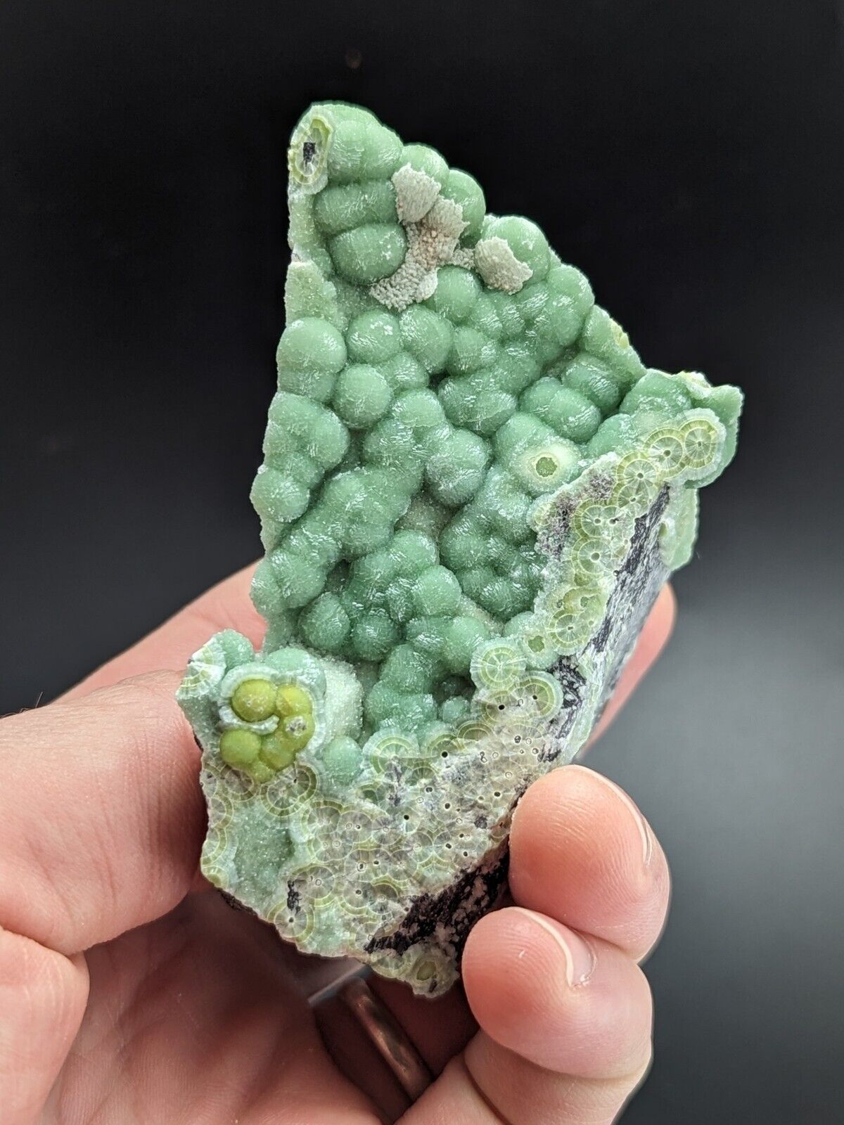A + Phenomenal Wavellite - Fantastic Old Stock - Mauldin Mountain Arkansas ooak - Collectibles:Rocks Fossils &