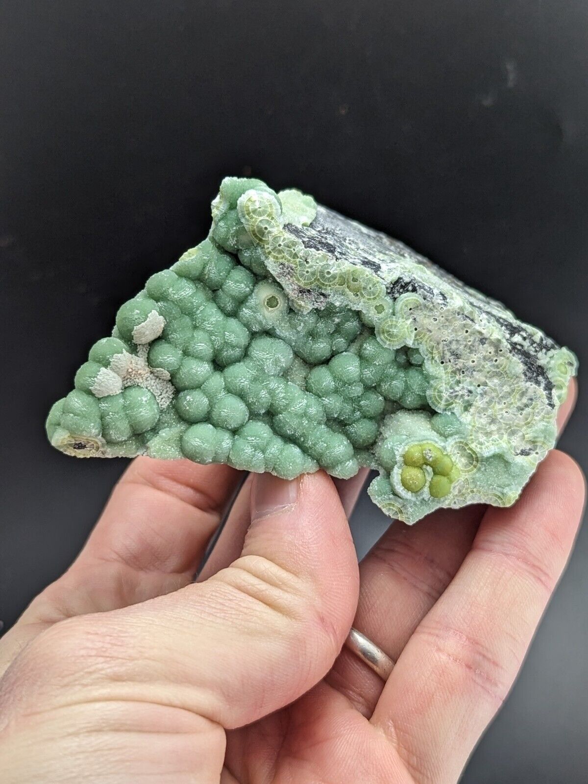 A + Phenomenal Wavellite - Fantastic Old Stock - Mauldin Mountain Arkansas ooak - Collectibles:Rocks Fossils &