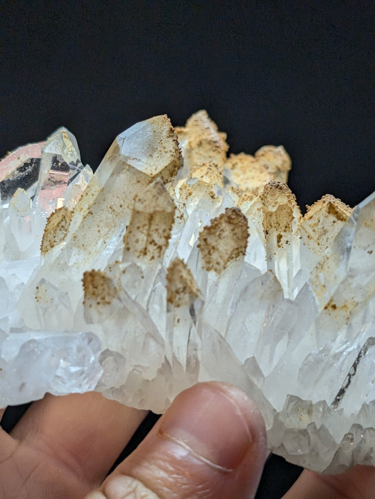 A cluster of clear, translucent quartz crystals with golden-brown mineral deposits on their surfaces.