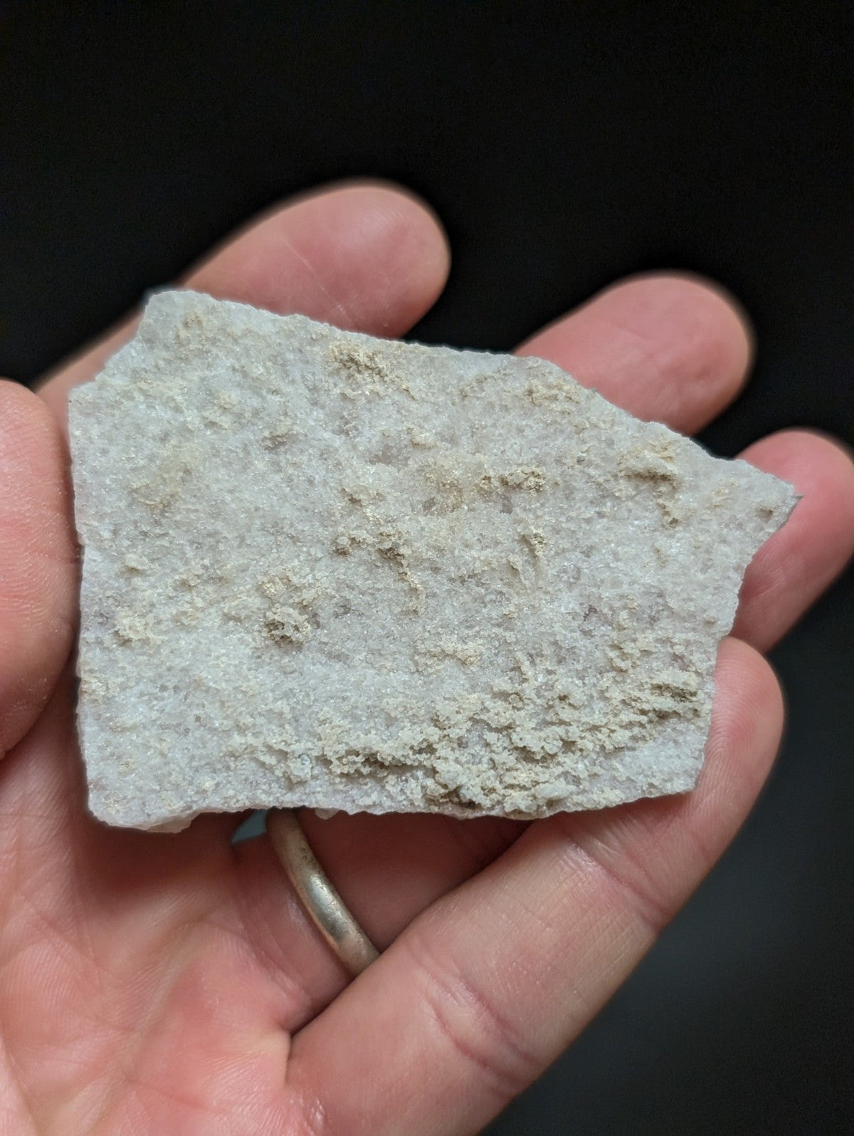 A rough, light gray stone fragment with a textured surface and irregular edges.