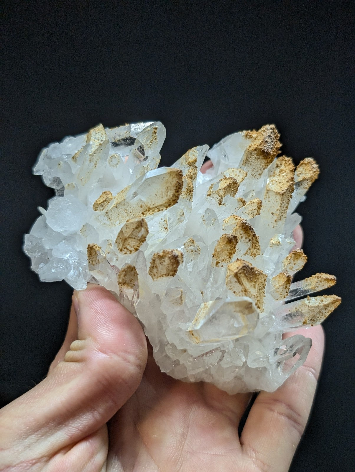 A translucent white quartz crystal cluster with golden-brown mineral inclusions, held gently in a hand against a dark background.