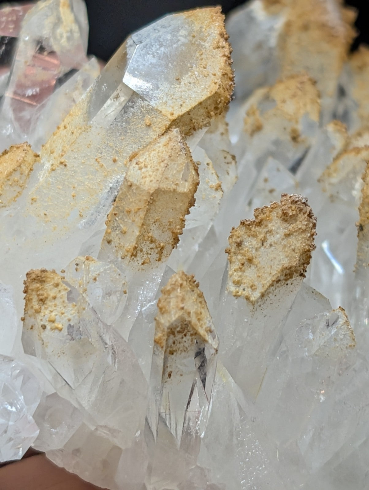 A cluster of clear, translucent quartz crystals with golden-brown mineral deposits at their tips.