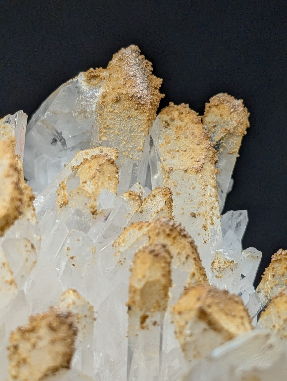 A cluster of clear quartz crystals with golden-tipped formations.