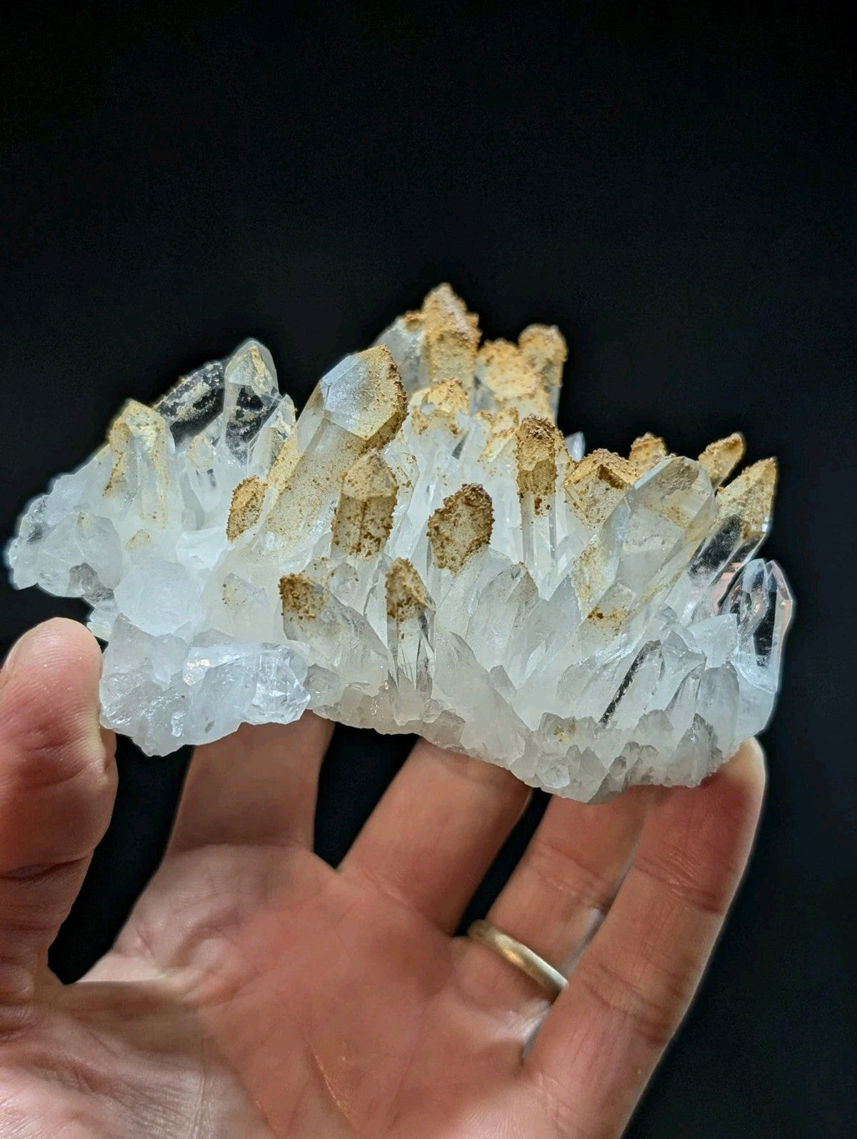 A translucent white quartz crystal cluster with golden-brown mineral inclusions, held gently in a hand.
