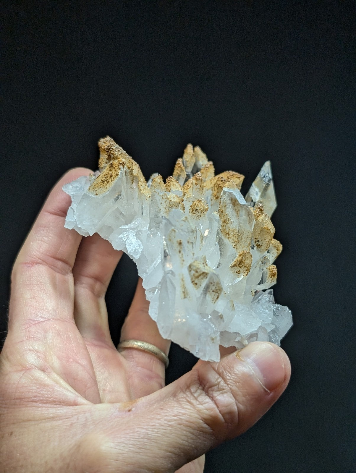 A translucent white quartz crystal cluster with golden-brown mineral inclusions, held gently in a hand.