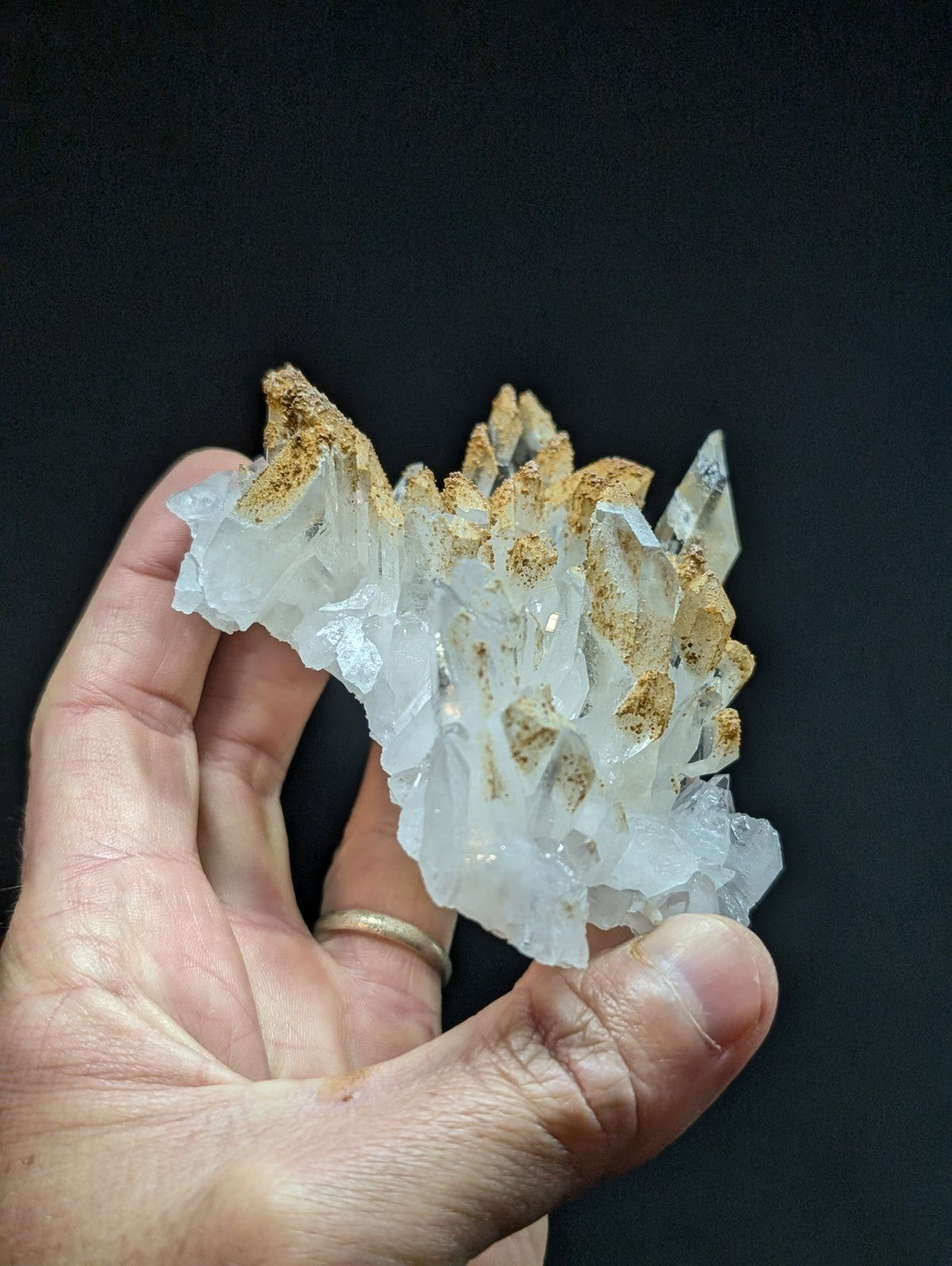 A translucent white quartz crystal cluster with golden-brown mineral inclusions, held gently in a hand.