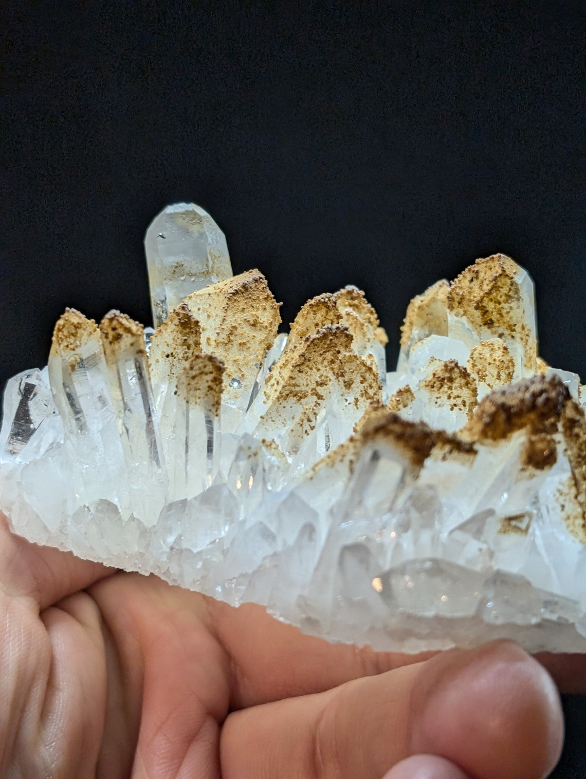 A translucent white quartz crystal cluster with golden-brown mineral inclusions, held gently in a hand against a dark background.