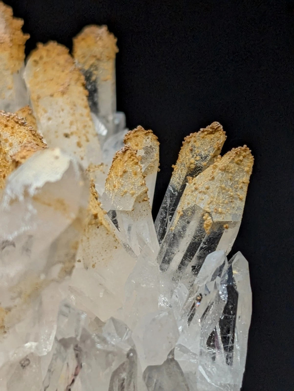 A cluster of translucent quartz crystals with golden-brown mineral deposits at their tips.