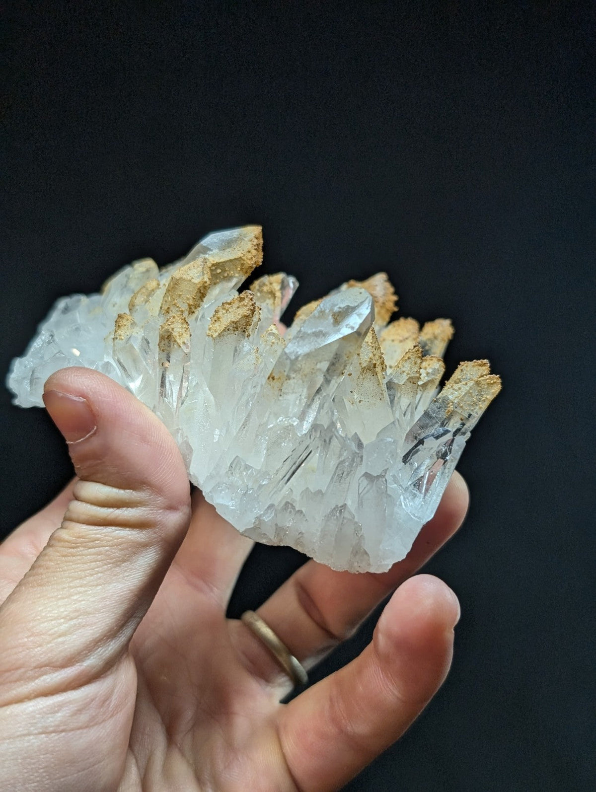 A translucent white quartz crystal cluster with golden-brown mineralized tips, held gently in a hand.