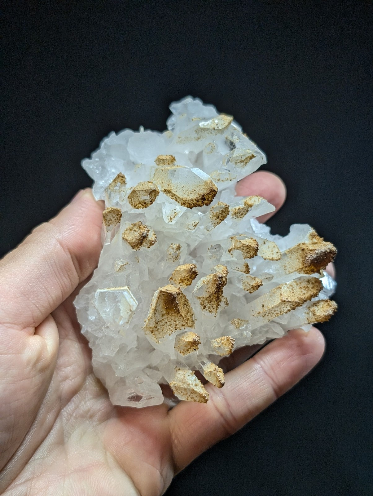A translucent white quartz crystal cluster with golden-brown mineral inclusions, held gently in a hand against a dark background.