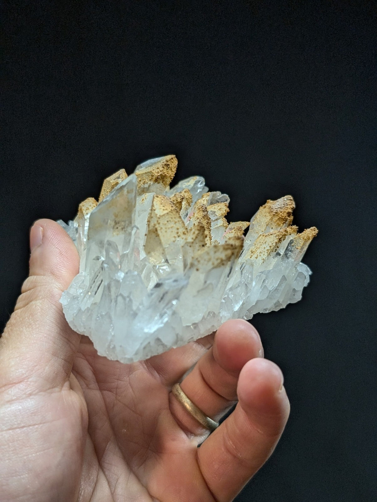 A translucent quartz crystal cluster with golden-brown mineral deposits on its pointed tips, held gently in a hand.