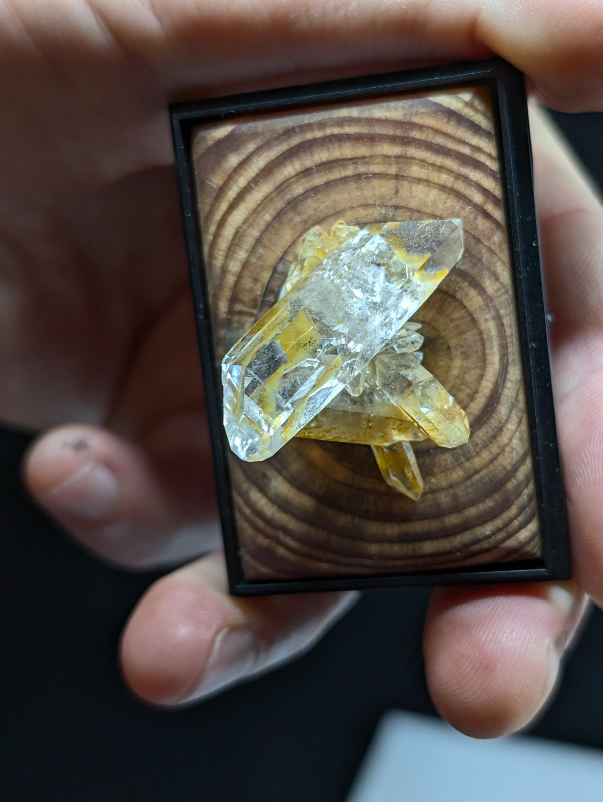 A clear, yellow-tinged crystal cluster displayed in a black-framed wooden box.