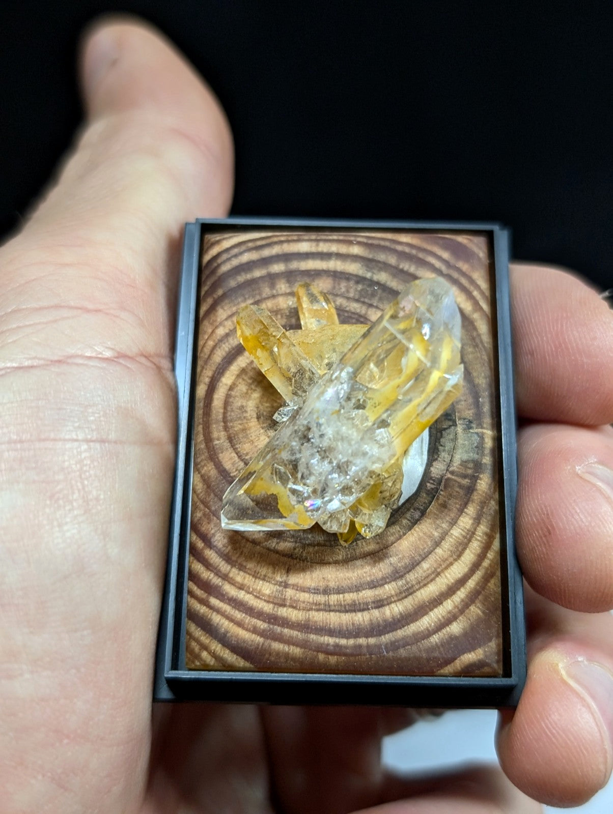 A translucent yellow and clear crystal cluster displayed in a black-framed wooden box with concentric ring patterns.