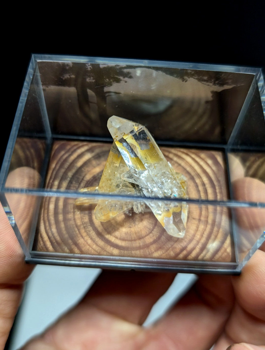 A translucent yellow crystal cluster with clear, angular facets and dark inclusions rests inside a transparent acrylic display box.