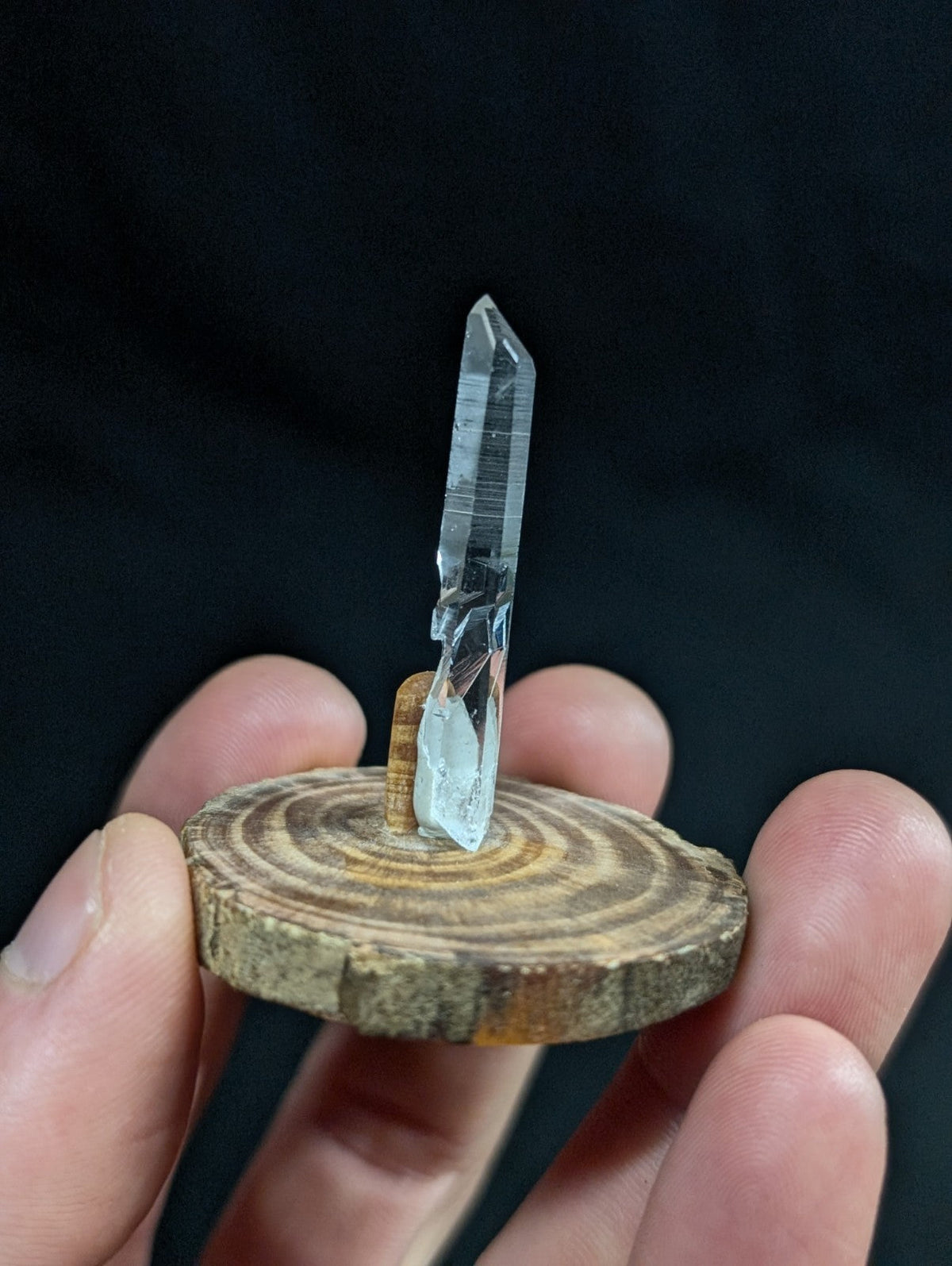 A clear, faceted quartz crystal stands upright on a rustic wooden slice base.