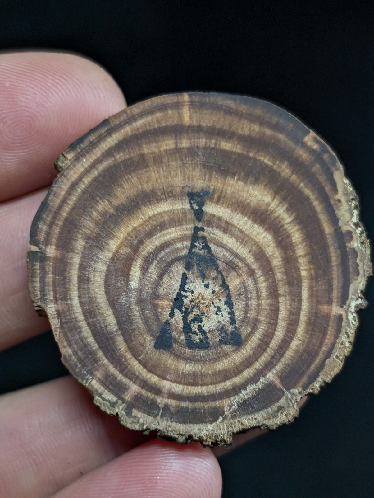 A circular wooden slice with concentric growth rings and a black painted silhouette of an arrowhead at its center.