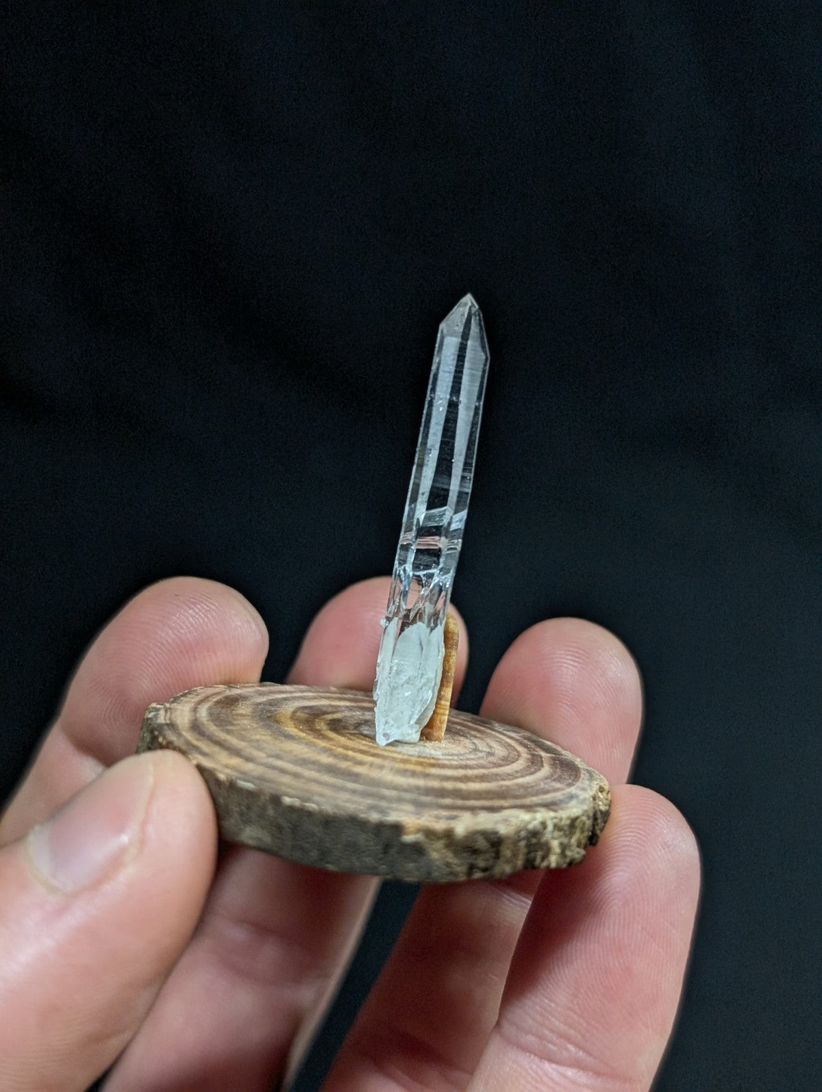 A clear quartz crystal with a pointed tip and visible internal facets, mounted on a rustic wooden slice.