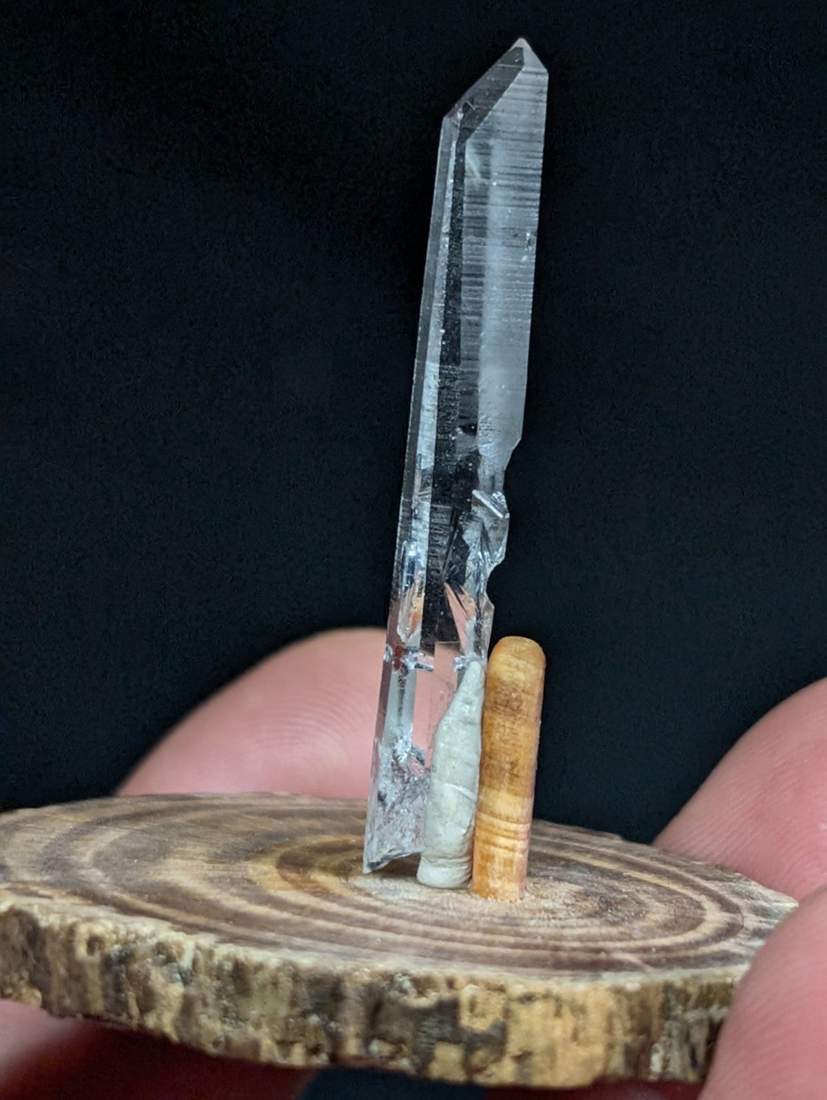 A clear, translucent quartz crystal with a pointed tip and visible internal striations stands upright on a circular wooden slice.