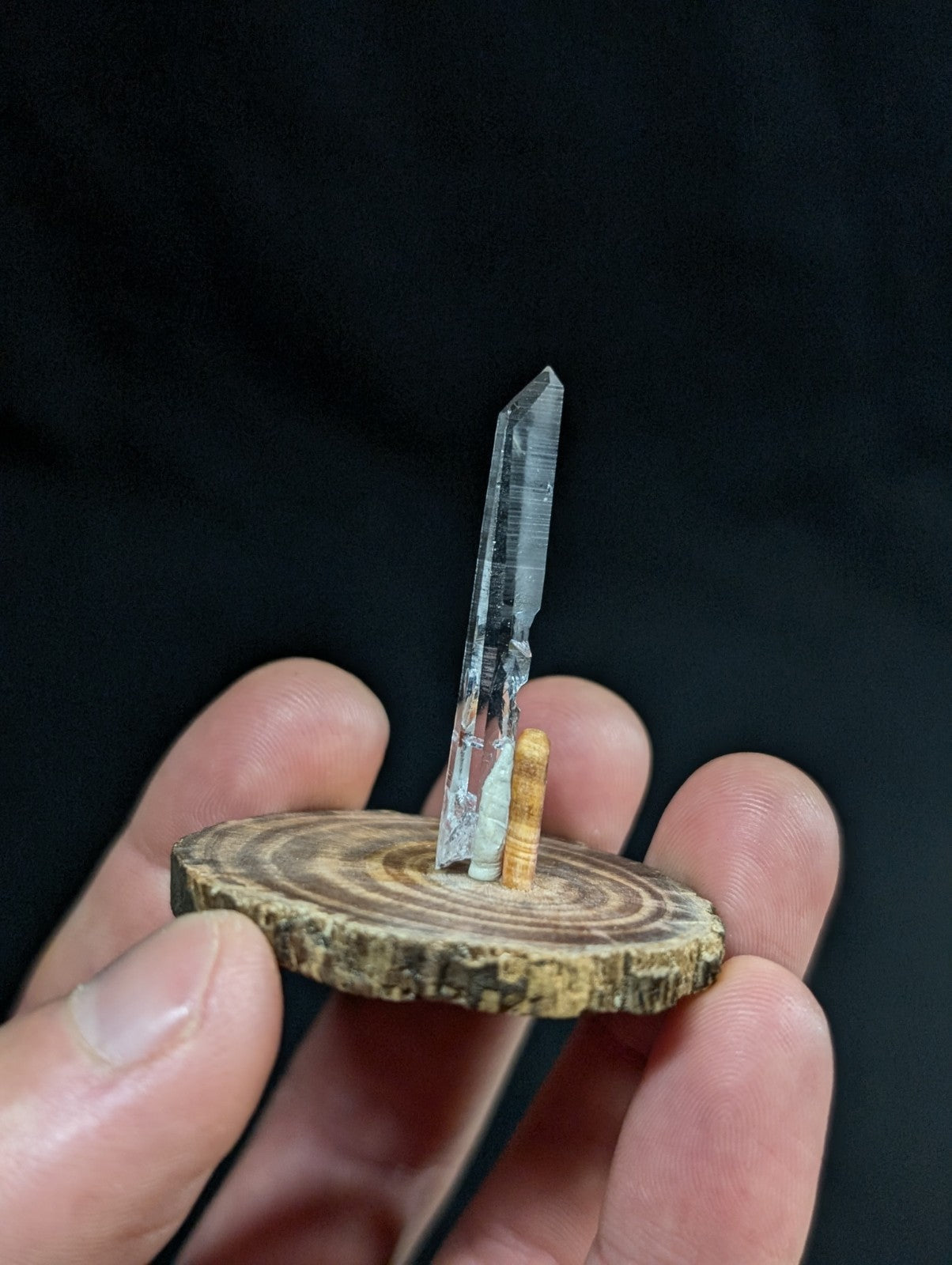 A clear, faceted quartz crystal stands upright on a rustic wooden slice base.