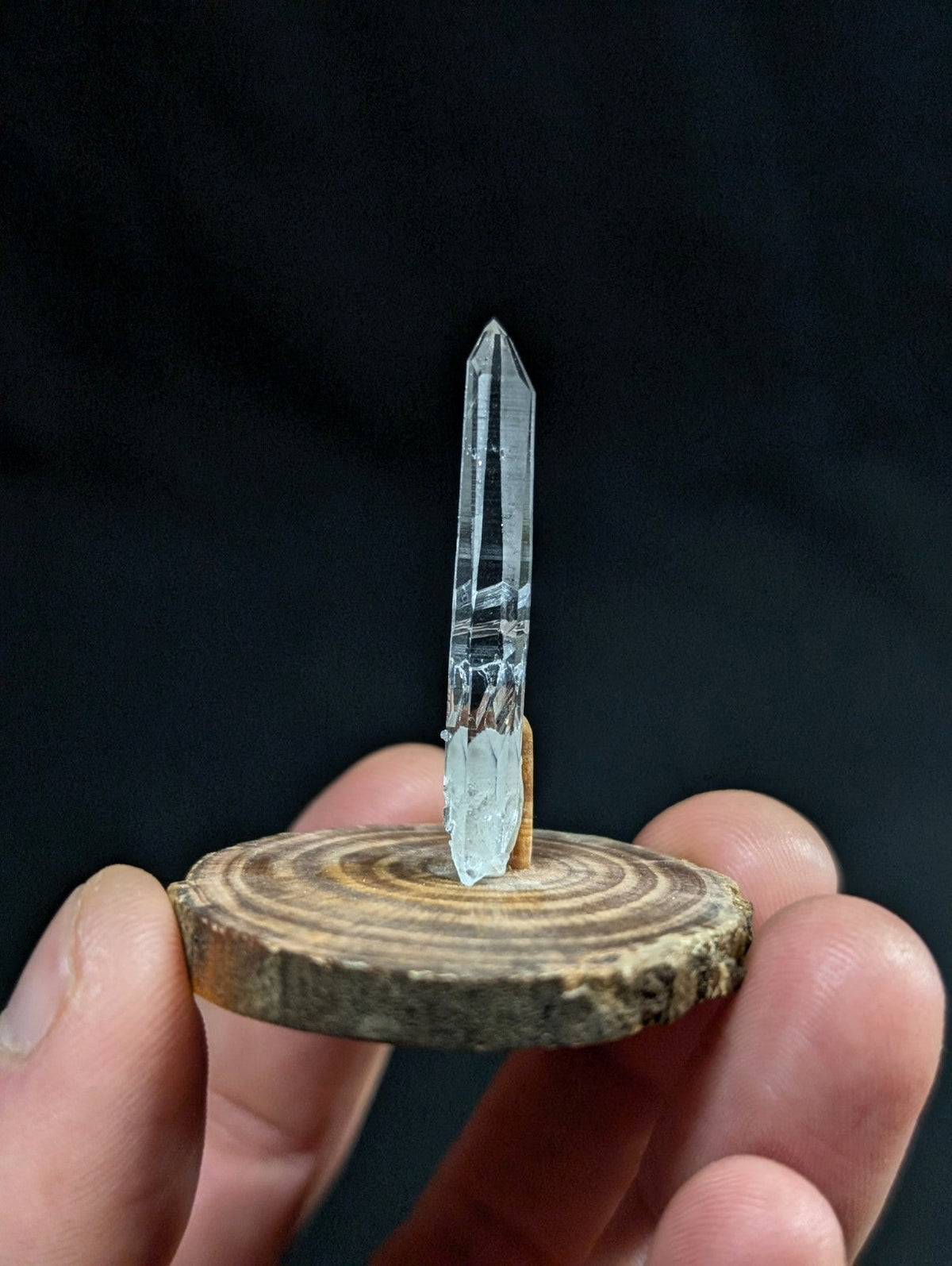 A clear, faceted quartz crystal stands upright on a rustic wooden slice.