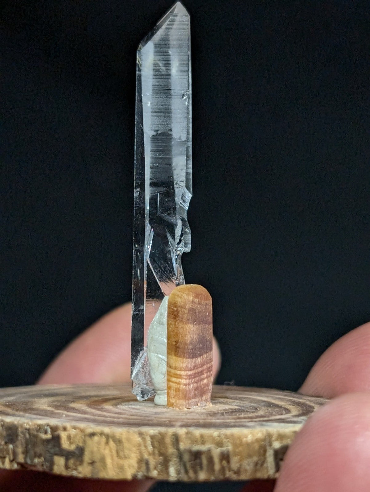 A clear, faceted quartz crystal stands upright on a wooden slice base beside a striped amber-colored mineral.