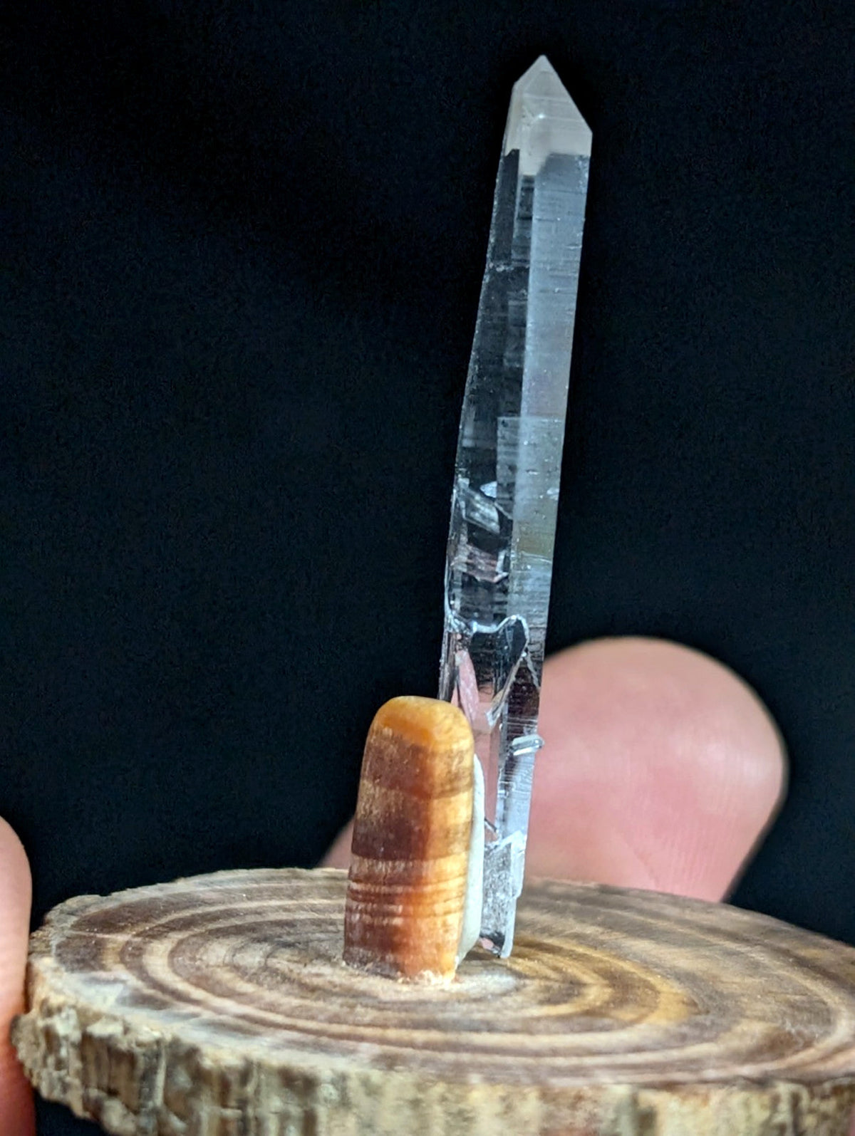 A clear, faceted quartz crystal stands upright on a polished wooden base with concentric rings.