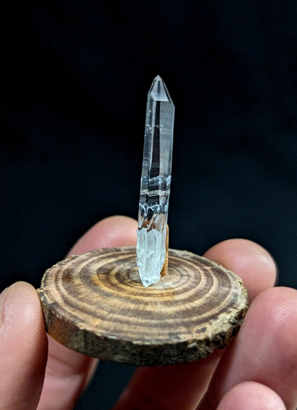 A clear, faceted quartz crystal with a pointed tip stands upright on a circular wooden slice held in someone’s hand.