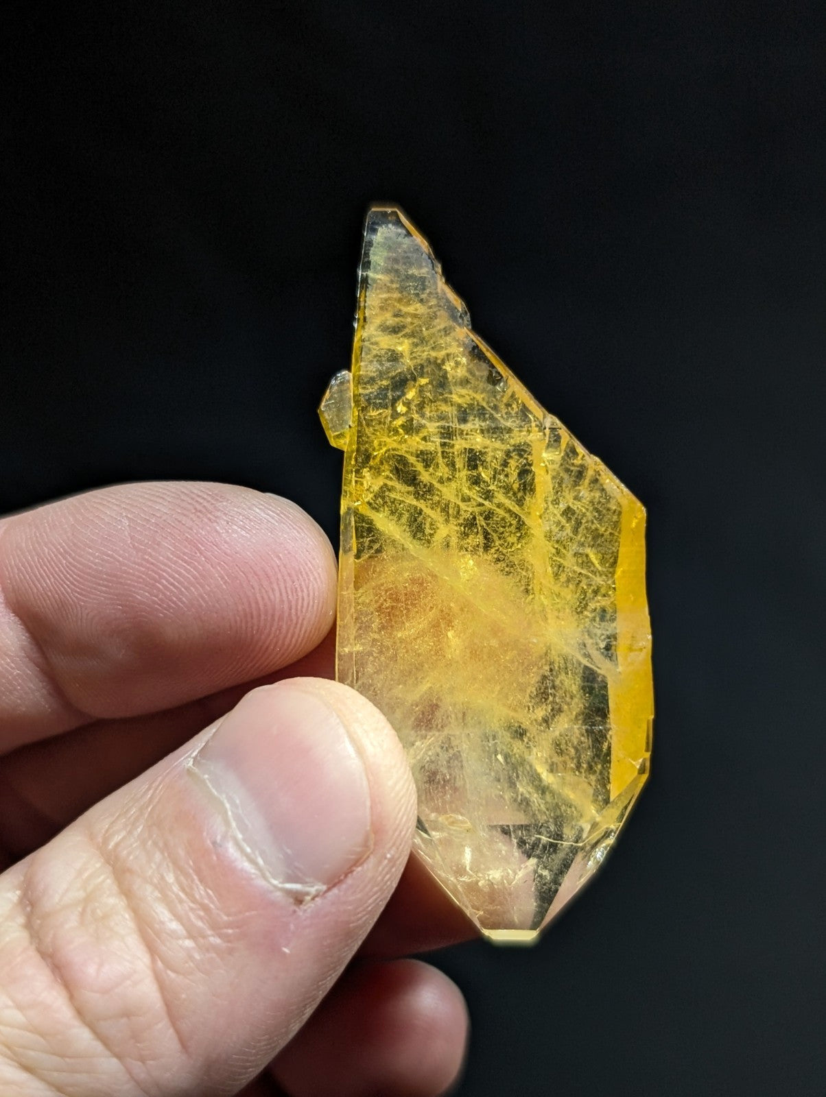 A translucent golden-yellow crystal with a web-like internal pattern, held delicately between fingers.
