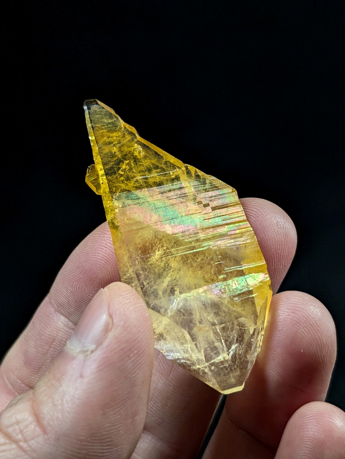 A translucent yellow crystal with iridescent green and blue streaks, held delicately between fingers.