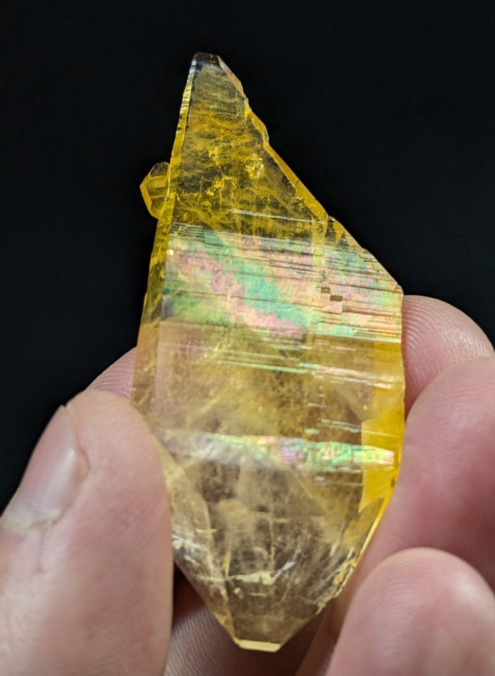 A translucent yellow crystal with iridescent green and pink striations, held gently between fingers.