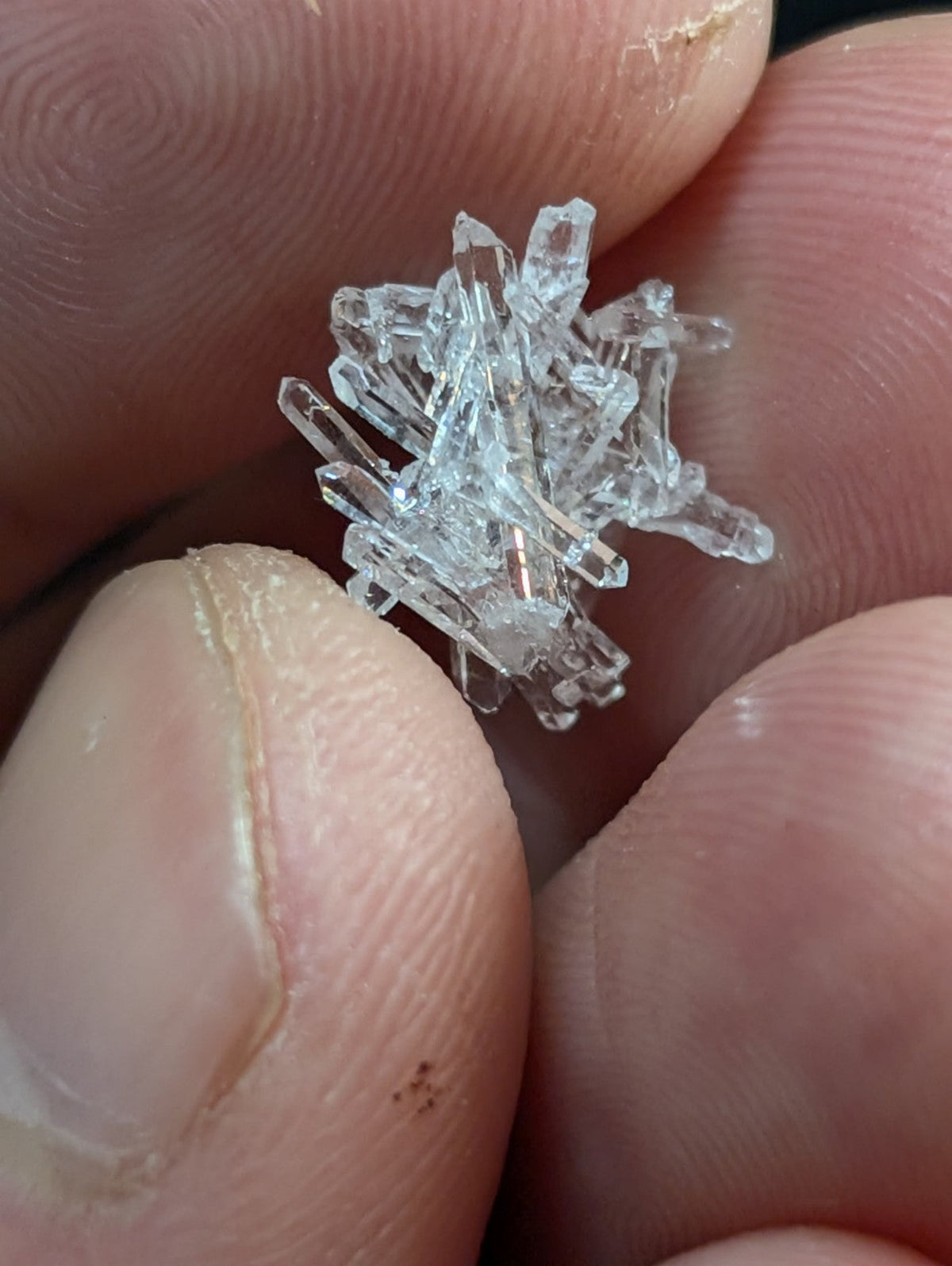 A cluster of clear, transparent quartz crystals with sharp, faceted points and a natural, irregular growth pattern.