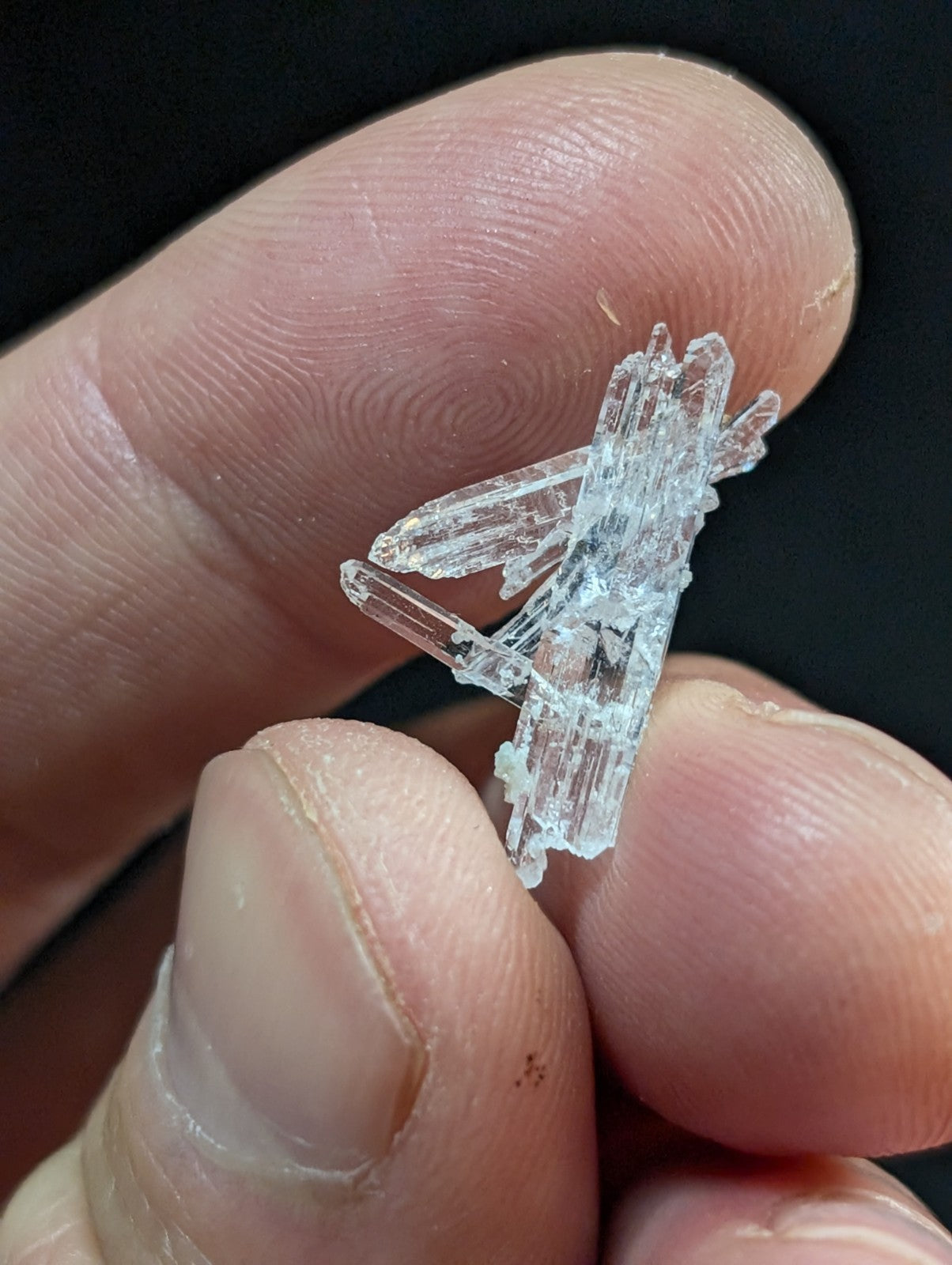 A clear, translucent crystal cluster with sharp, angular facets and a branching structure.