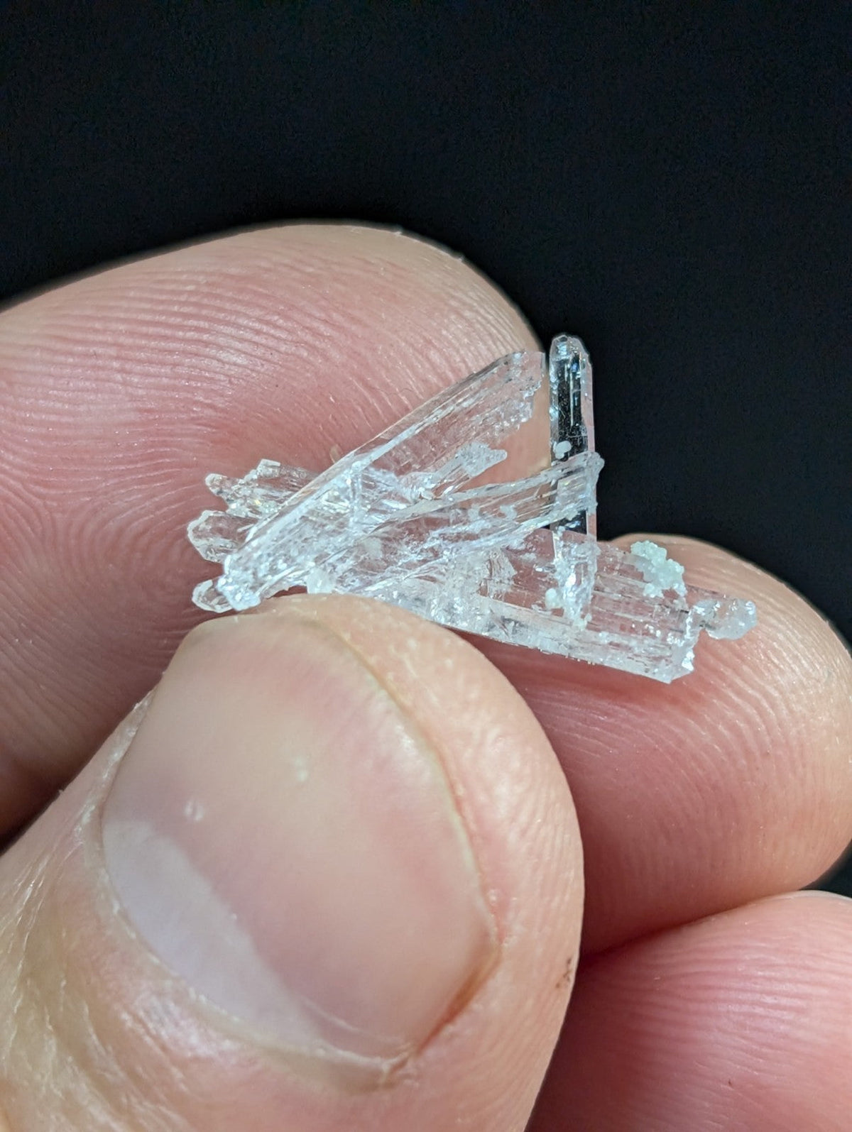 A clear, translucent crystal cluster with jagged edges and a natural, branching structure.