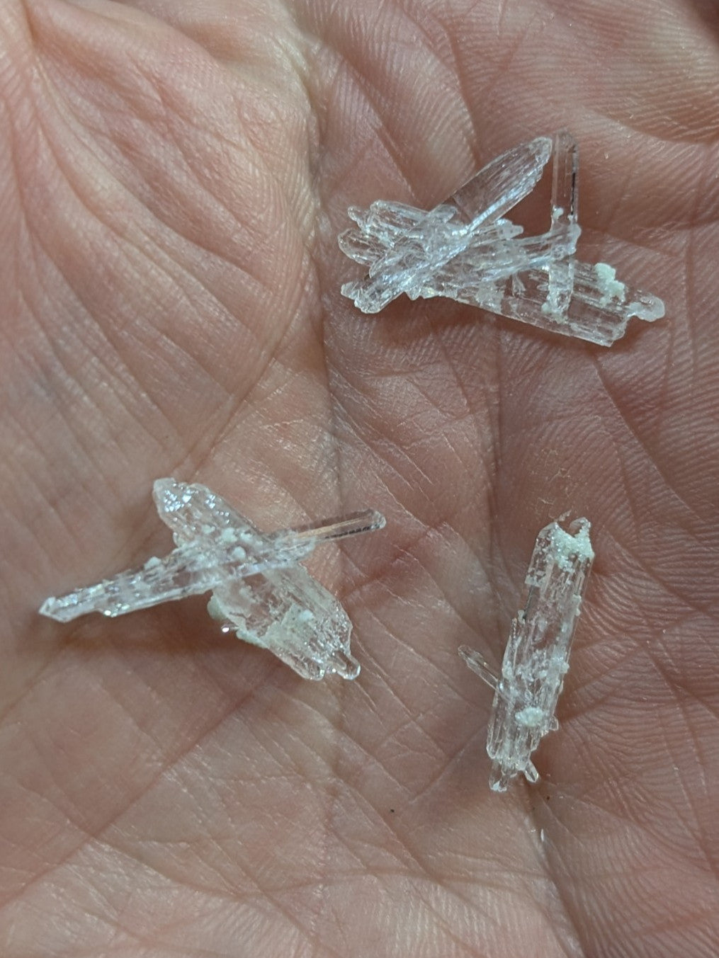 Clear, translucent crystal formations with intricate branching structures and subtle internal reflections.