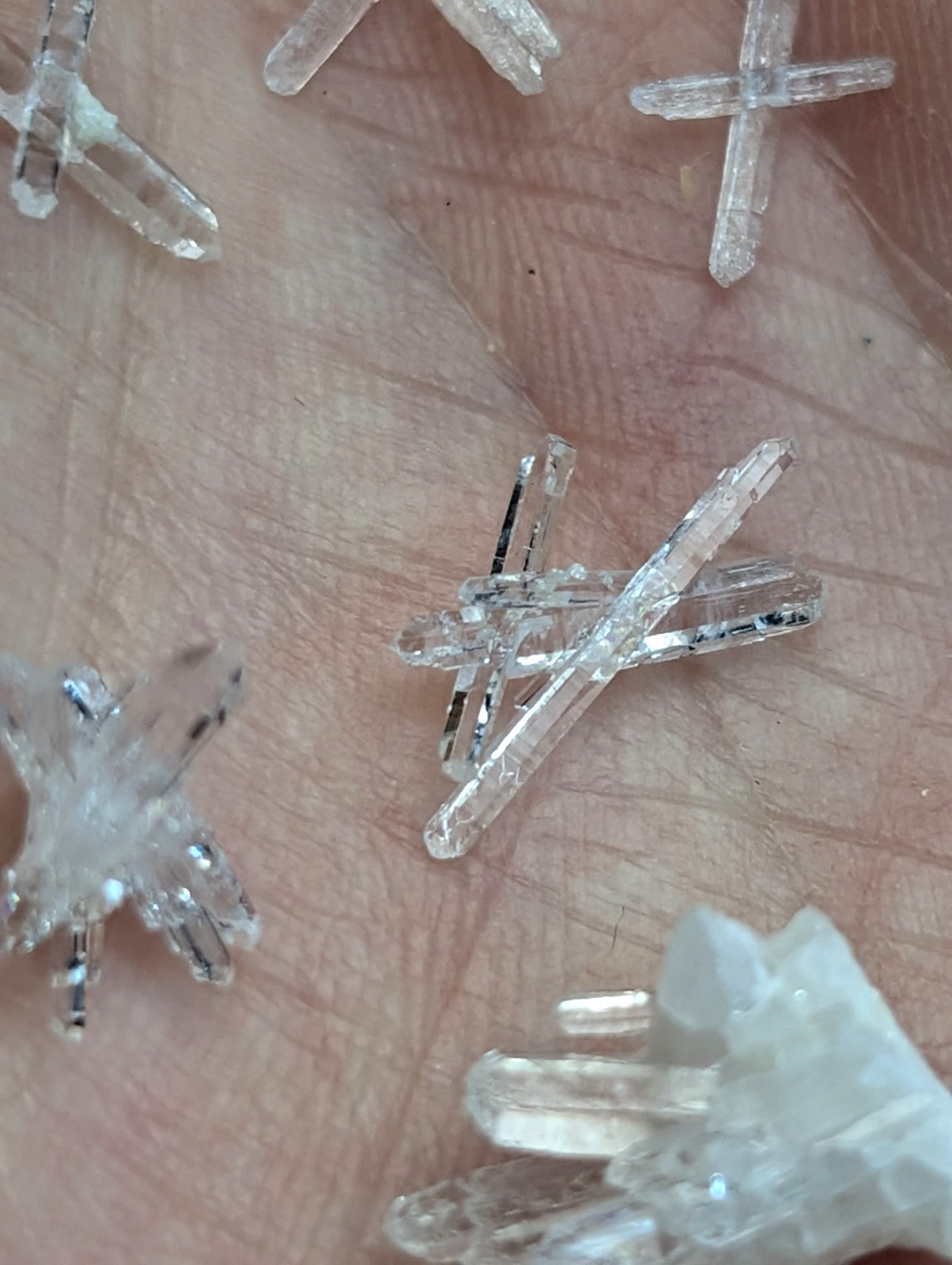 Clear quartz crystal clusters from a set of 8 unique forms resting on a hand from jeffrey quarry arkansas old stock