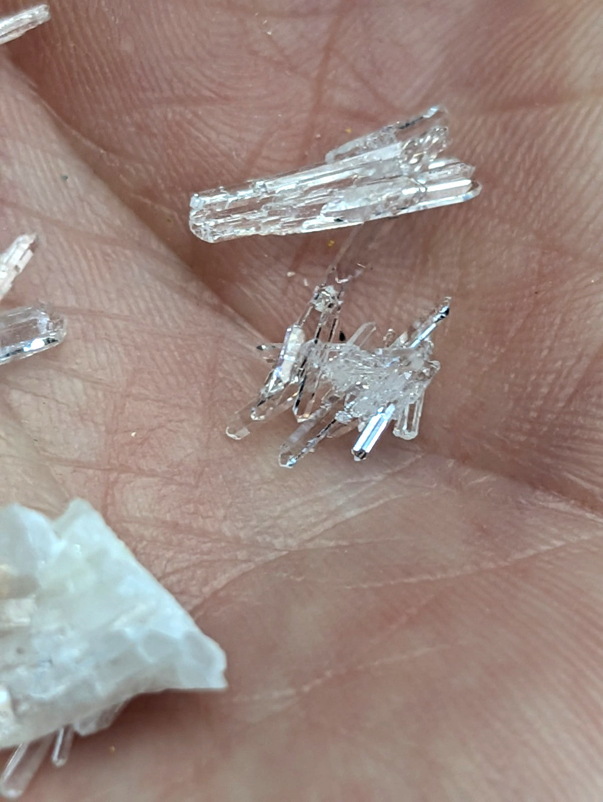 Clear translucent quartz crystals with sharp faceted edges unique forms set of 8 from jeffrey quarry arkansas old stock