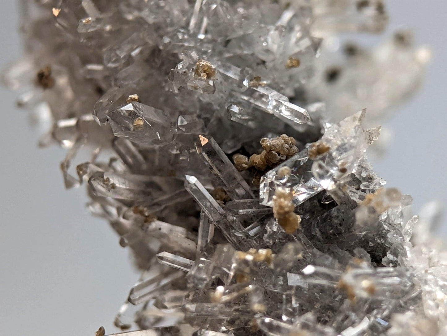 A cluster of transparent quartz crystals with golden uv reactive cookeite inclusions from jeffrey quarry arkansas