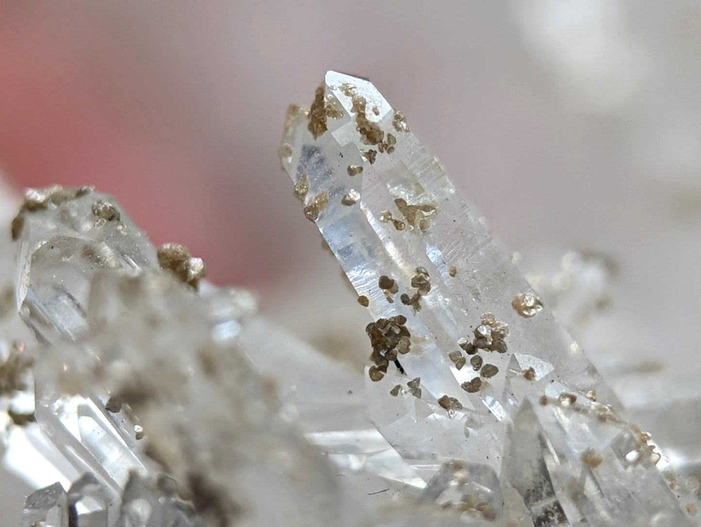 A clear quartz crystal cluster with golden uv reactive cookeite inclusions from jeffrey quarry arkansas rare