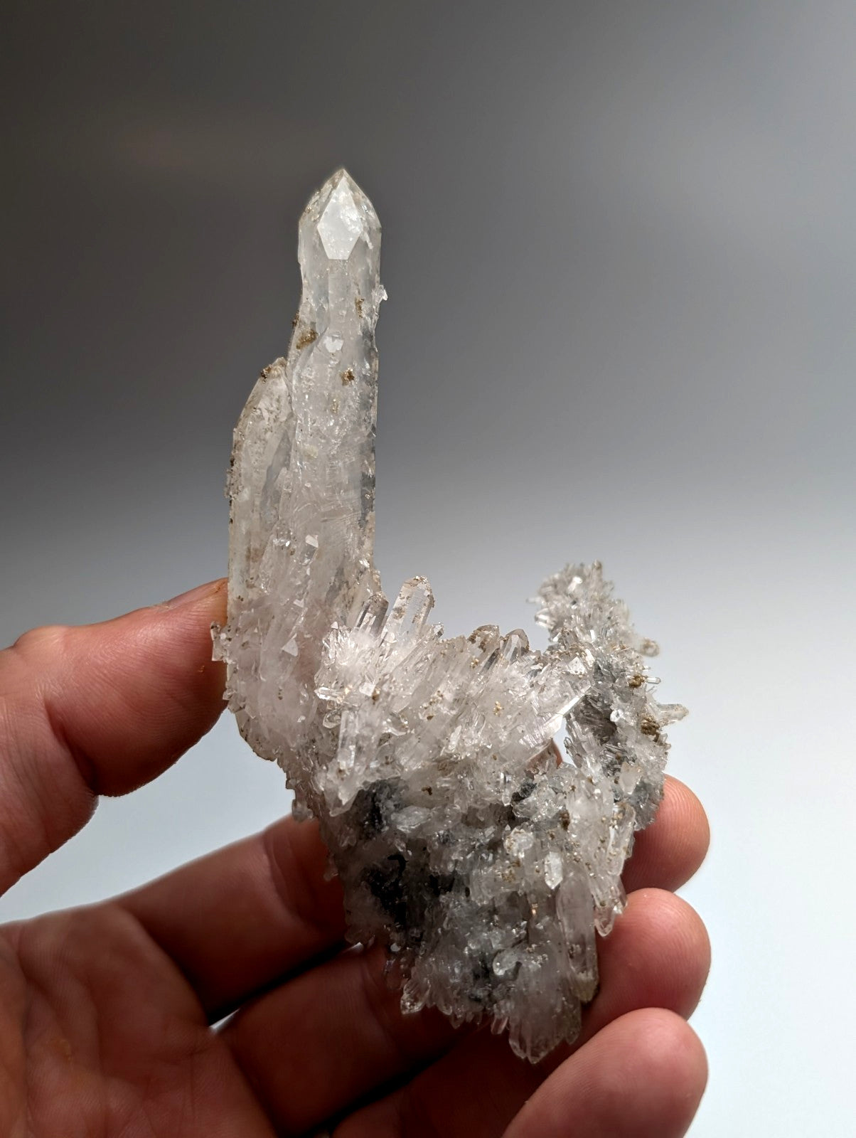 A clear quartz crystal cluster with a tall spike and branching formations from jeffrey quarry arkansas with uv reactive cookeite